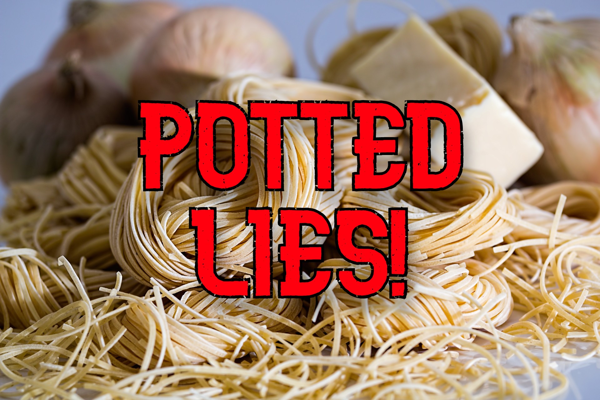 a pile of dry noodles with the slogan "POTTED LIES" overlaid